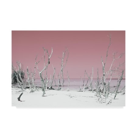 Philippe Hugonnard 'Wild White Sand Beach Pastel Pink' Canvas Art,16x24